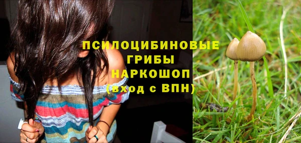 jwh Вязьма