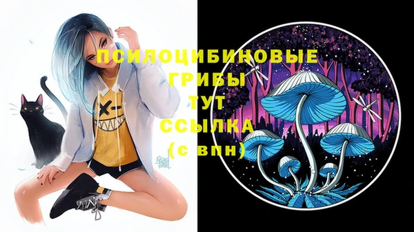 сатива Вязники