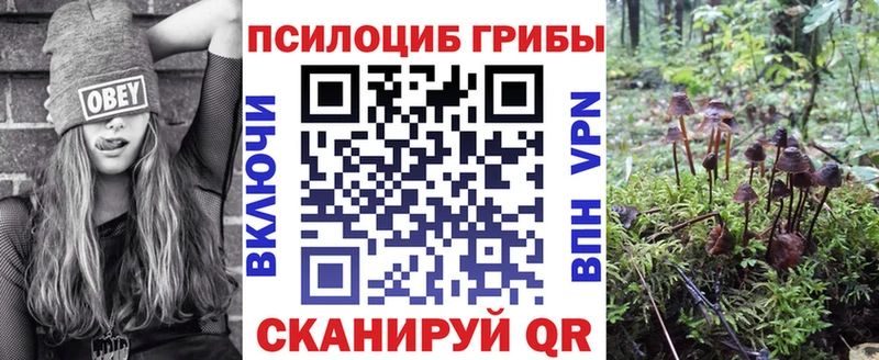 Купить где  Лысково  Галлюциногенные грибы мухоморы 