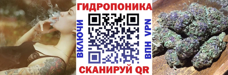 Конопля OG Kush  Купить  Лысково 
